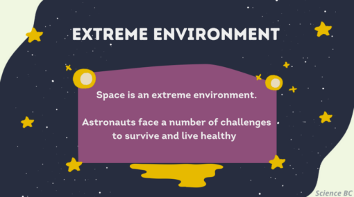 Space as an Extreme Environment - Image 3